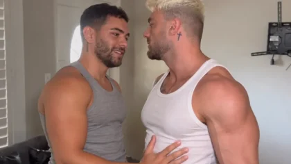 Videos de sexo gay